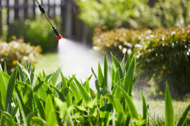 24/7 Emergency Mosquito Control experts in Pataskala, OH
