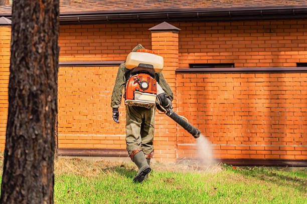 Top rated local Mosquito Control specialists in Pataskala, OH